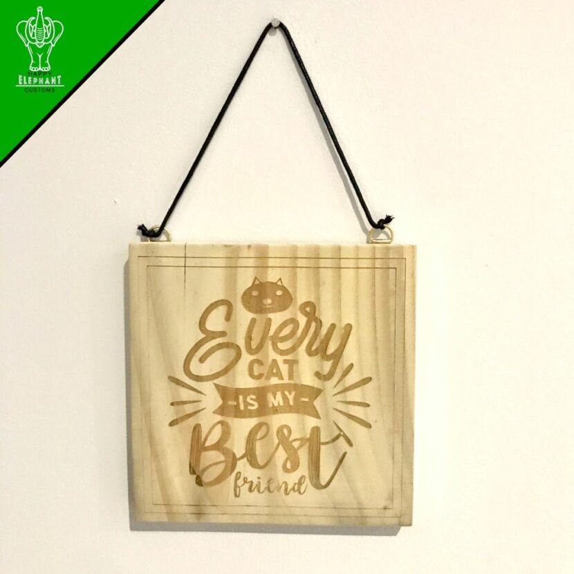 Every Cat Is My Best Friend - Square Hanging Sign for cat lovers - Image 4